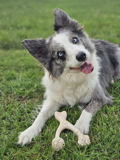 BetterBone Hunde Kauspielzeug Kauknochen - Large Medium Beef - Pfotenlieblinge
