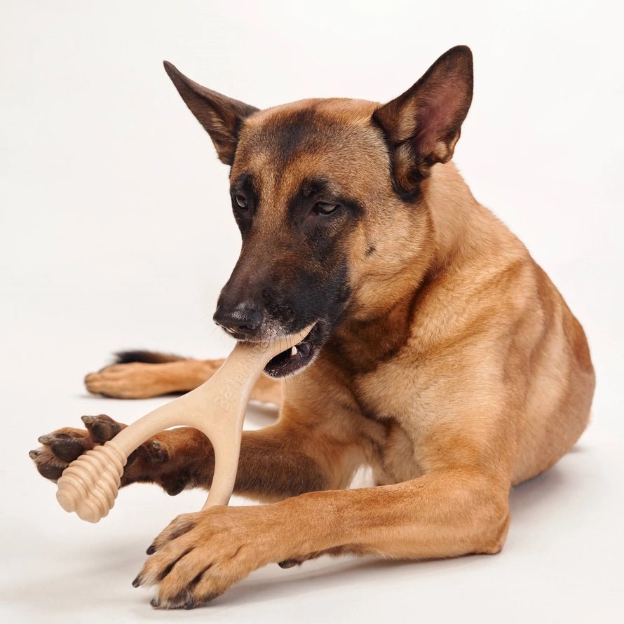 BetterBone Hunde Kauspielzeug Kauknochen - Mini Hard Beef - Pfotenlieblinge