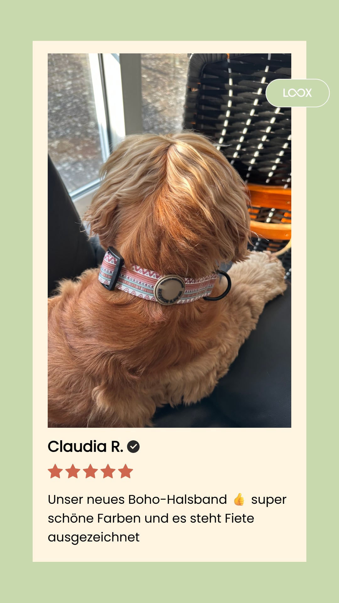 Boho-Halsband – gepolstert, verstellbar &amp; robust