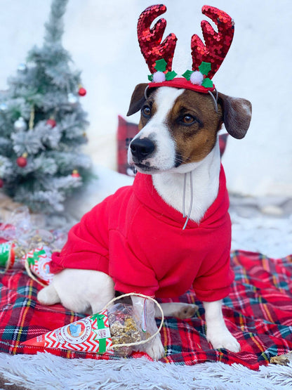 Weihnachtskugeln - Chicken &amp; Tuna - Natürliche Leckerlis für Hunde