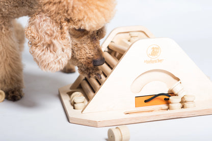 Pyramide – Intelligenzspiel für Hunde | Anspruchsvoll