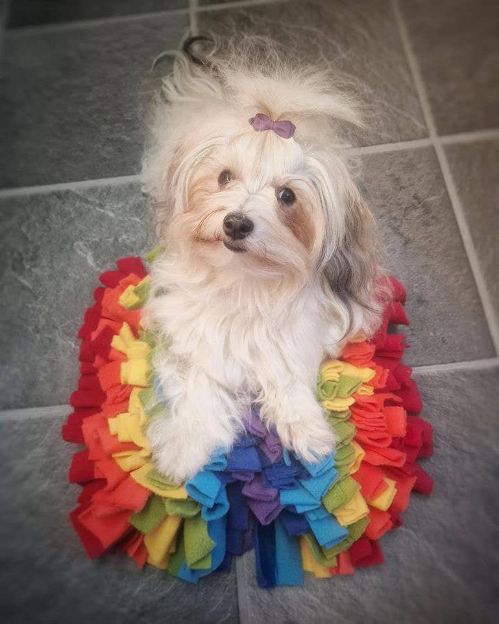 Kl. Schnüffelteppich Rainbow 🌈 