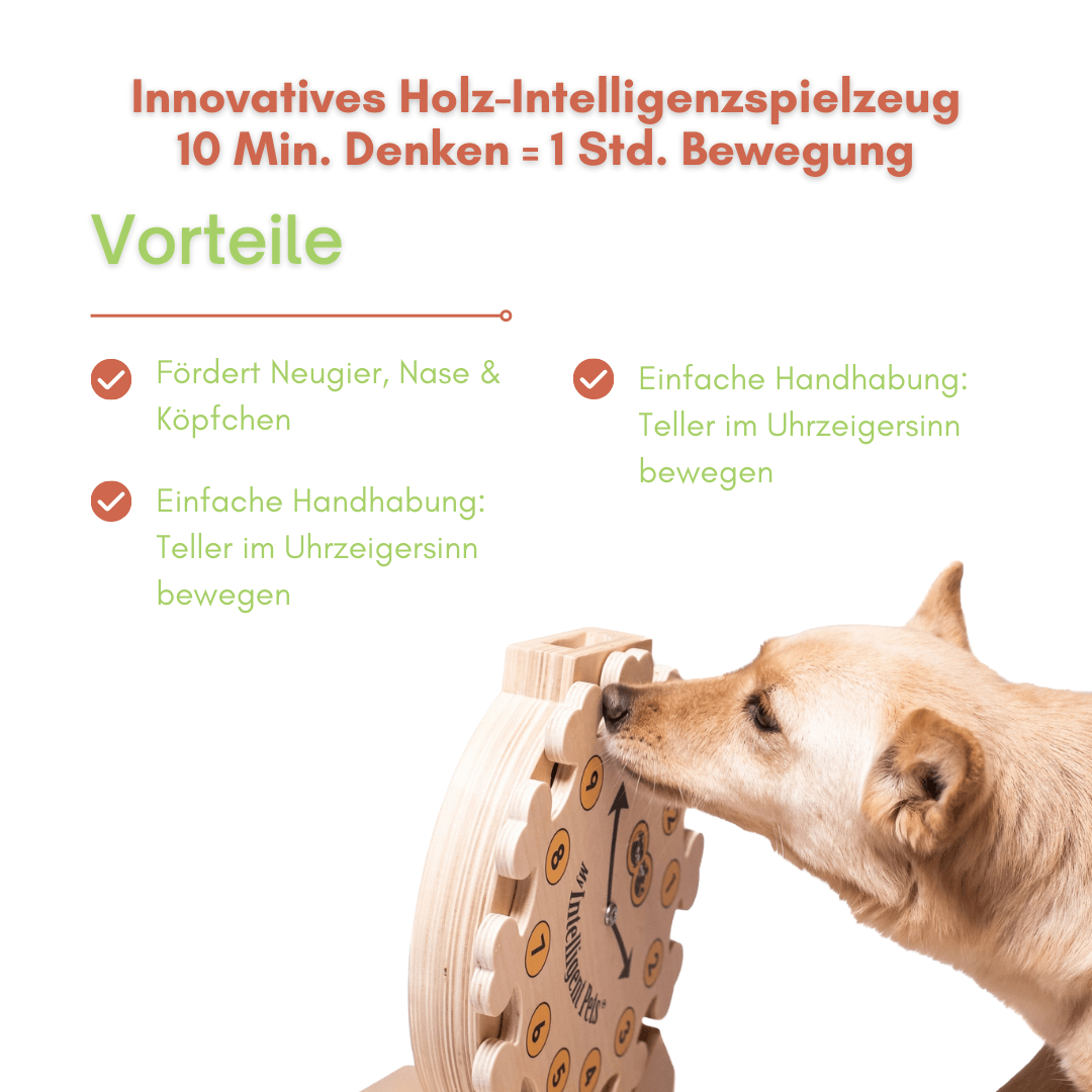 Clock - Spielzeug zur Bereicherung von Hund und Katze - Pfotenlieblinge