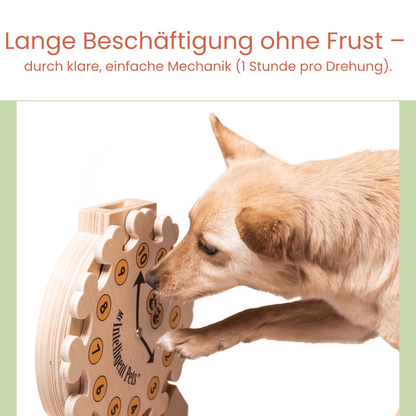 Clock - Spielzeug zur Bereicherung von Hund und Katze - Pfotenlieblinge