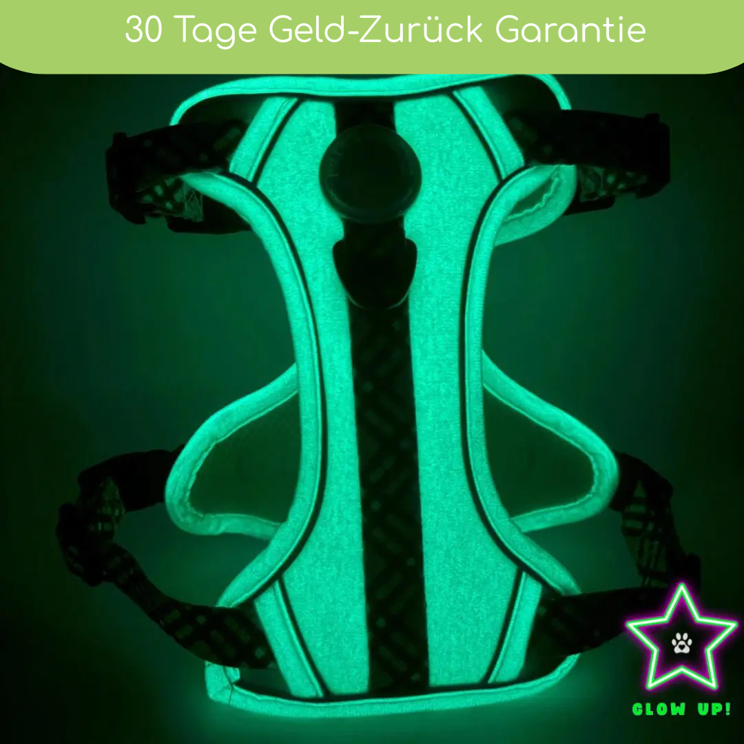 Leuchtendes Step-In Hundegeschirr