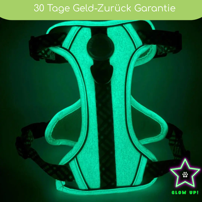 Leuchtendes Step-In Hundegeschirr