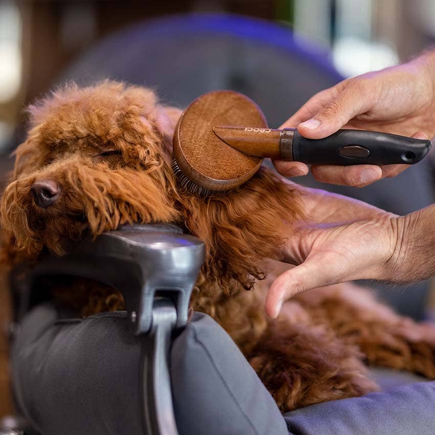 Unterwollbürste Smooth Tail