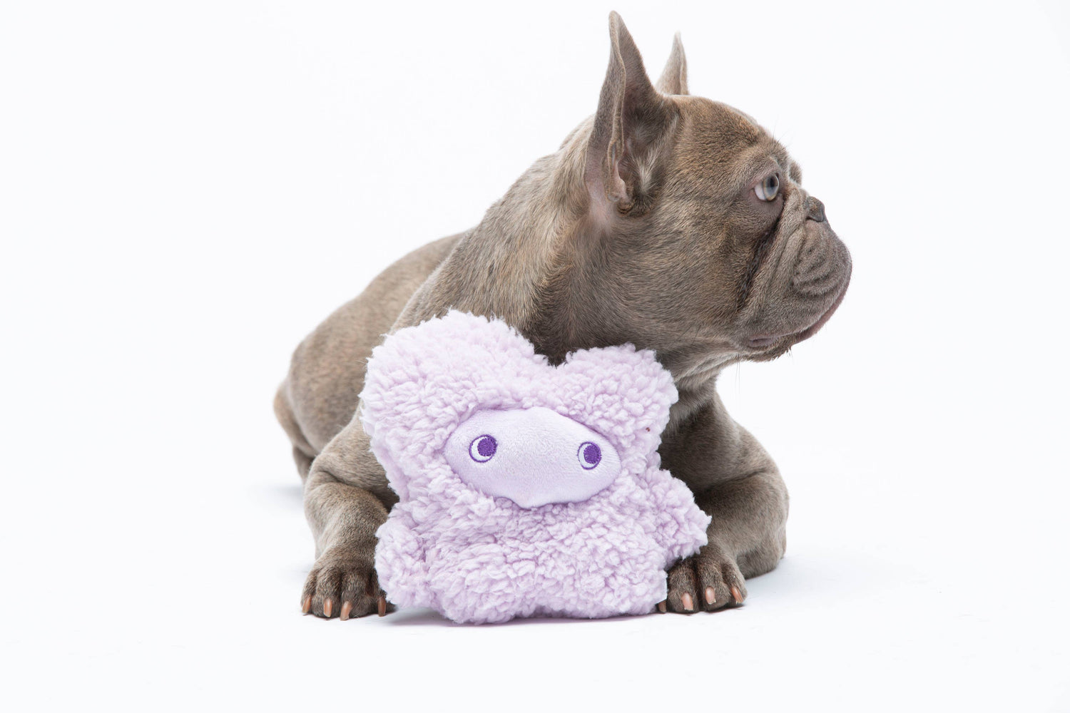 Antistress-Plüschtier mit ätherischen Ölen - Nocciolino