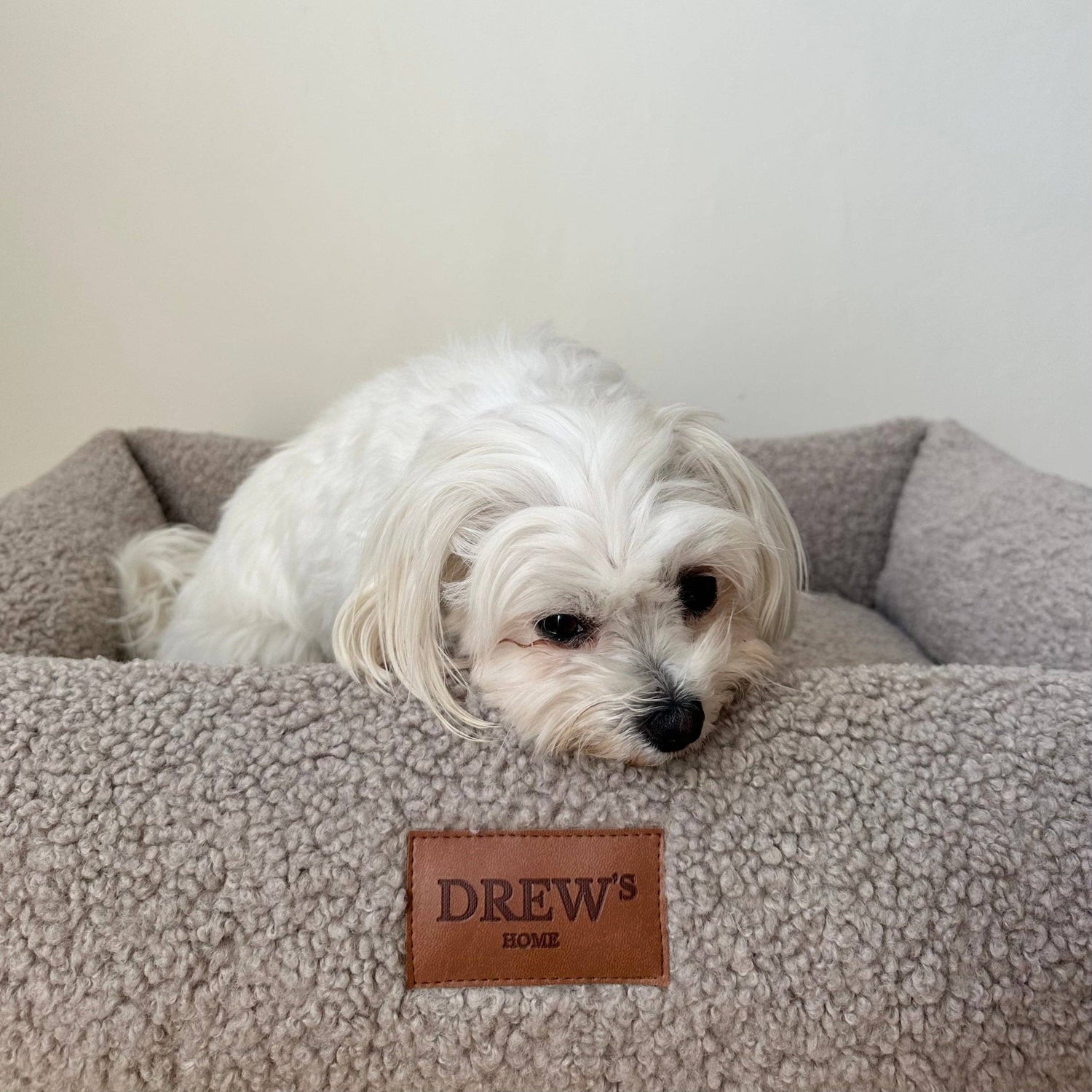 Nuna Hundekorb - Teddybett &amp; waschbares Hundebett aus Memoryschaum (taupe)