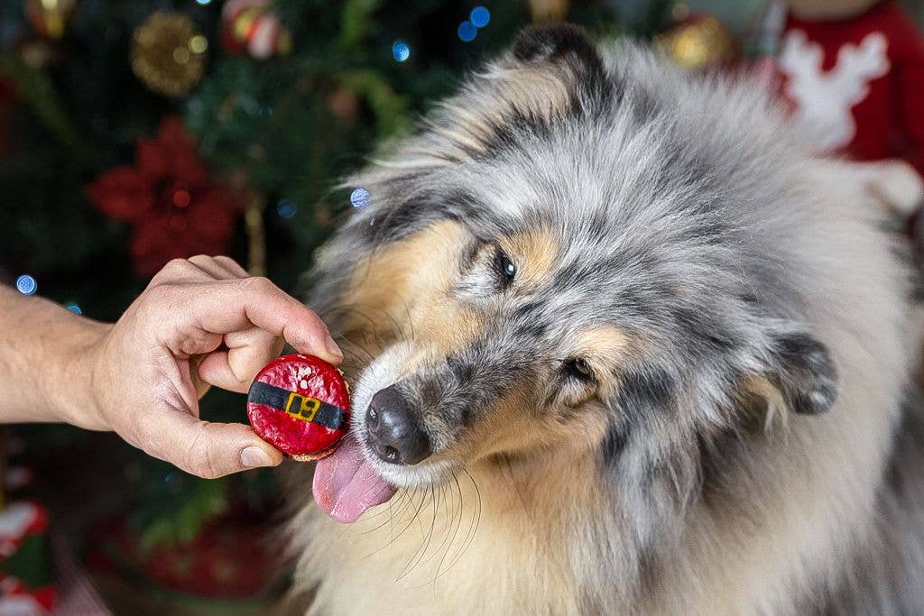 Weihnachtsmakronen "Santas Bauch" - Geschenkbox