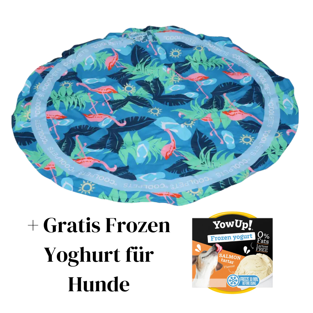 Kühlmatte für Hunde – sofort &amp; ohne Gefrierfach