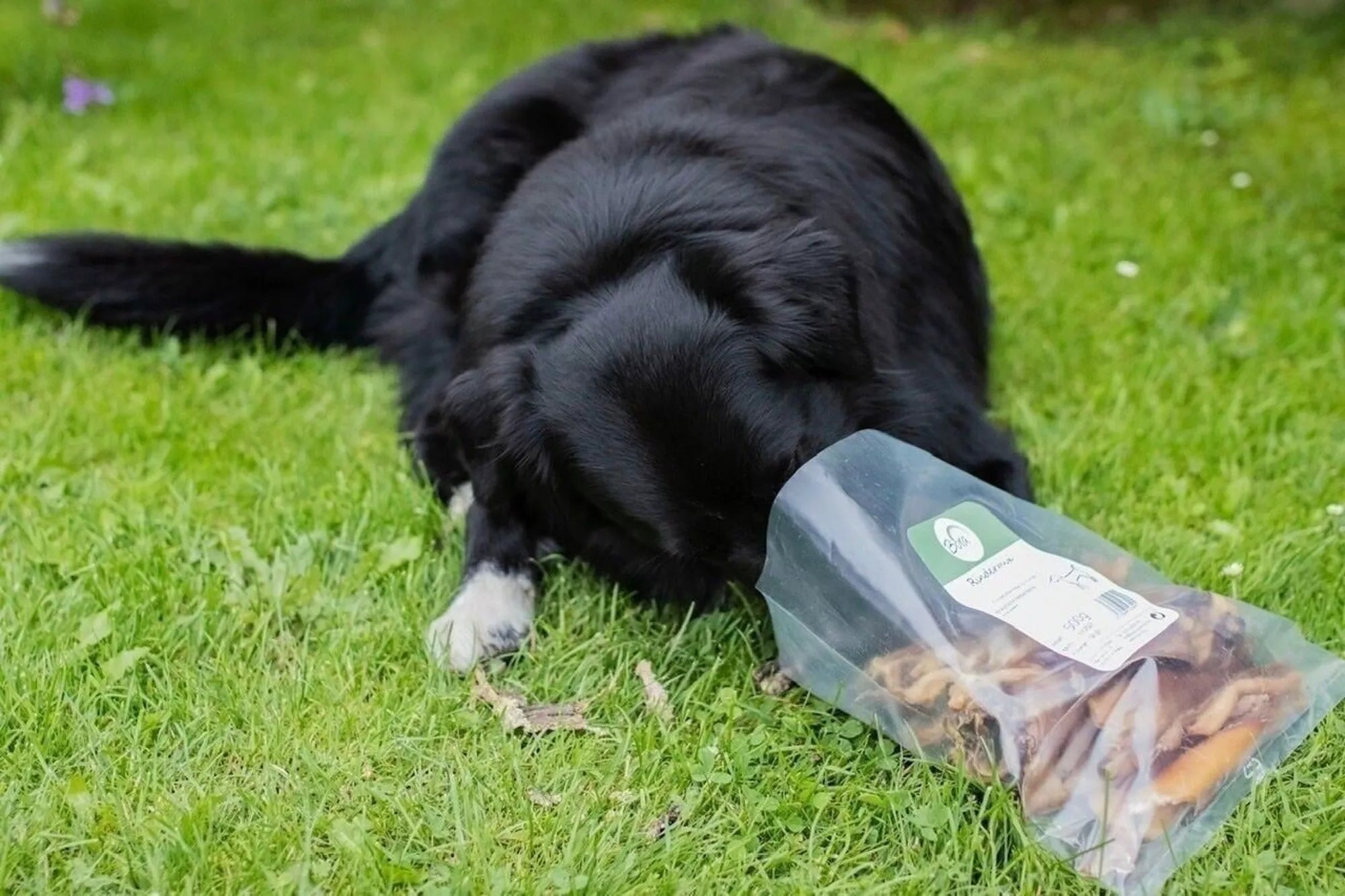 Rindermix 500 g – Natürliche Kauartikel aus Deutschland für jeden Hund