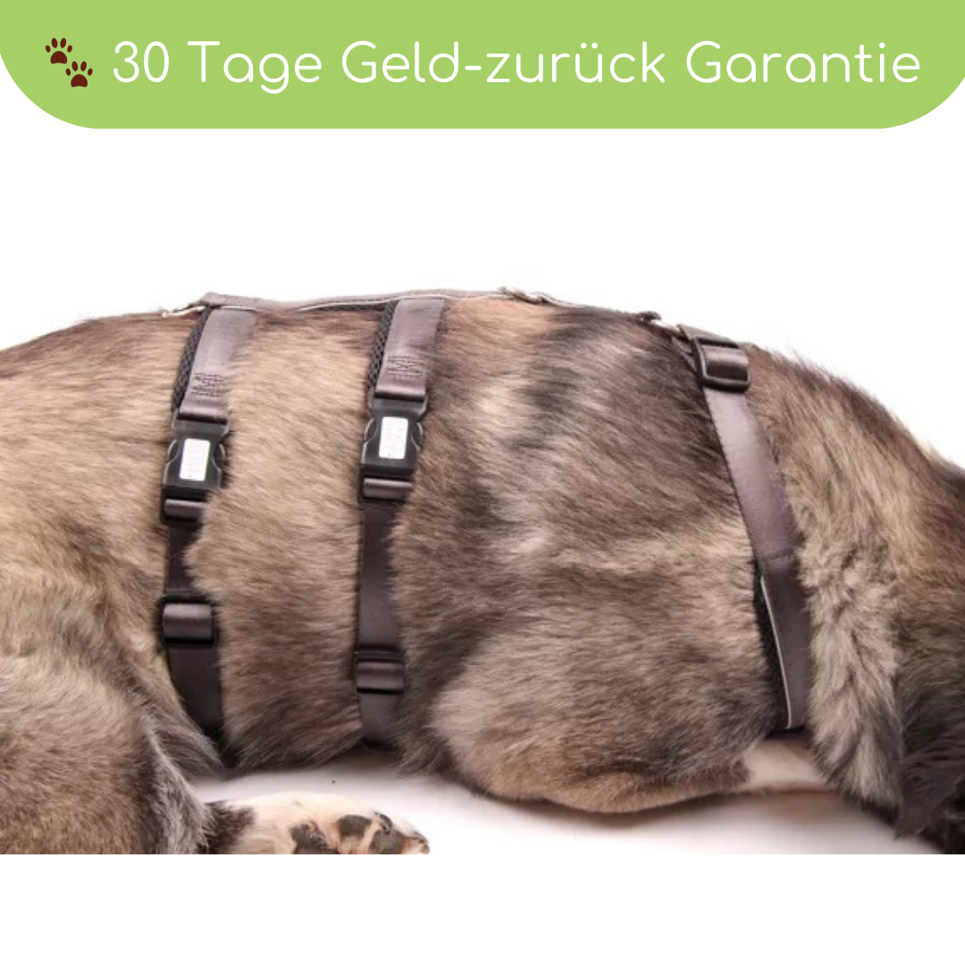 StyleSnout® Patch&amp;Safe Sicherheitsgeschirr – ausbruchsicher &amp; gepolstert