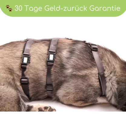 StyleSnout® Patch&amp;Safe Sicherheitsgeschirr – ausbruchsicher &amp; gepolstert