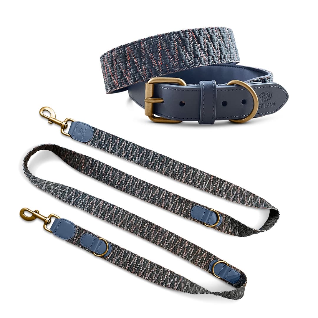 Sparset: Halsband &amp; Leine in Blau/Grau