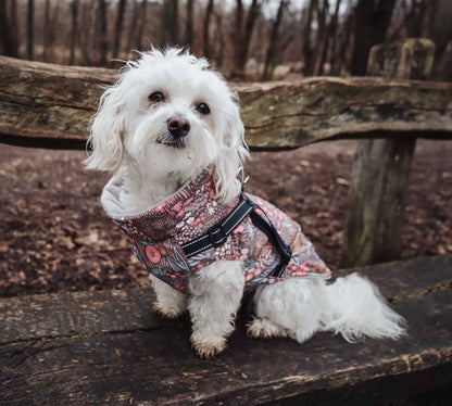 Jacke mit Geschirr - Zauberwald