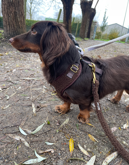 Teddy Hundegeschirr Coffee – weich &amp; verstellbar
