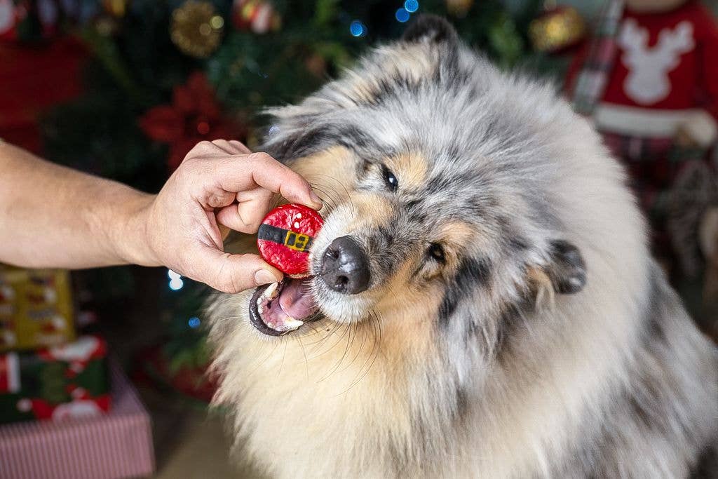 Weihnachtsmakronen "Santas Bauch" - Geschenkbox