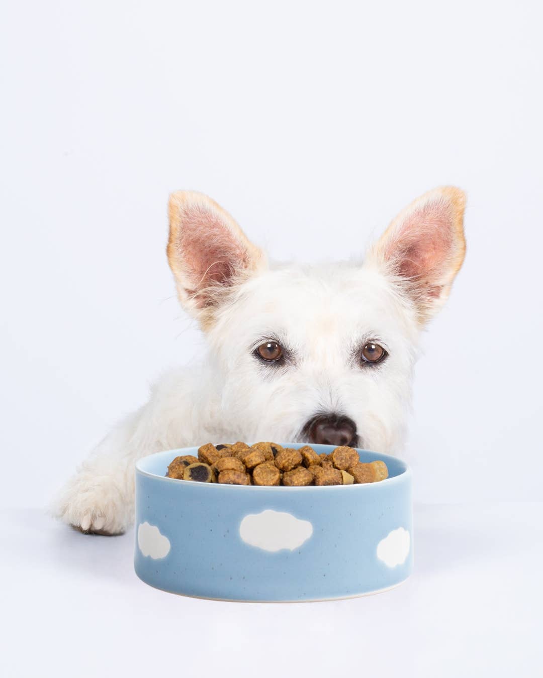 Cloud Futternapf 2er-Set aus Steinzeug | Rosa oder blau