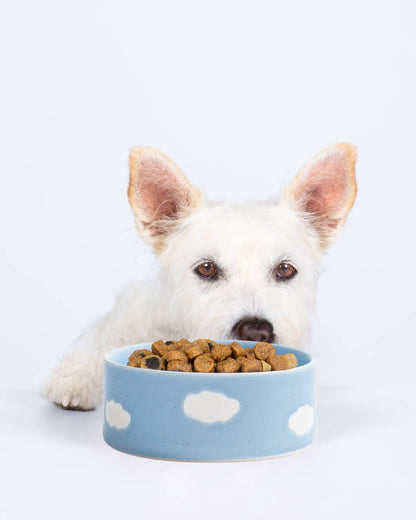 Cloud Futternapf 2er-Set aus Steinzeug | Rosa oder blau