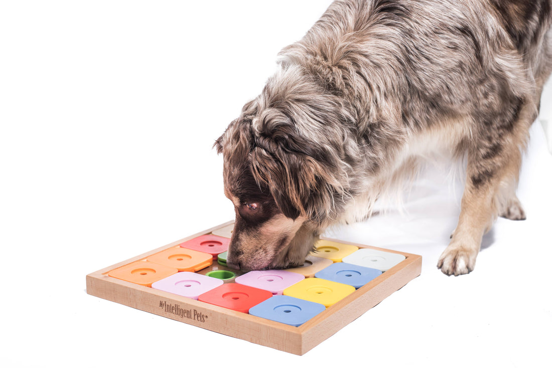 SUDOKU Medium Genie Color – Intelligenzspiel für Hunde