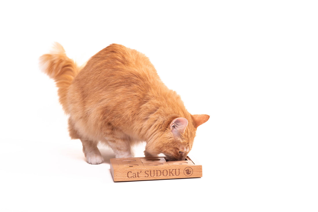 SUDOKU Small Advanced - Hunde- und Katzenpuzzle