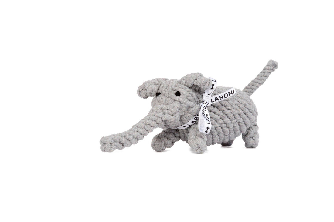 Elton Elefant Hundespielzeug – robust &amp; zahnpflegend - Pfotenlieblinge