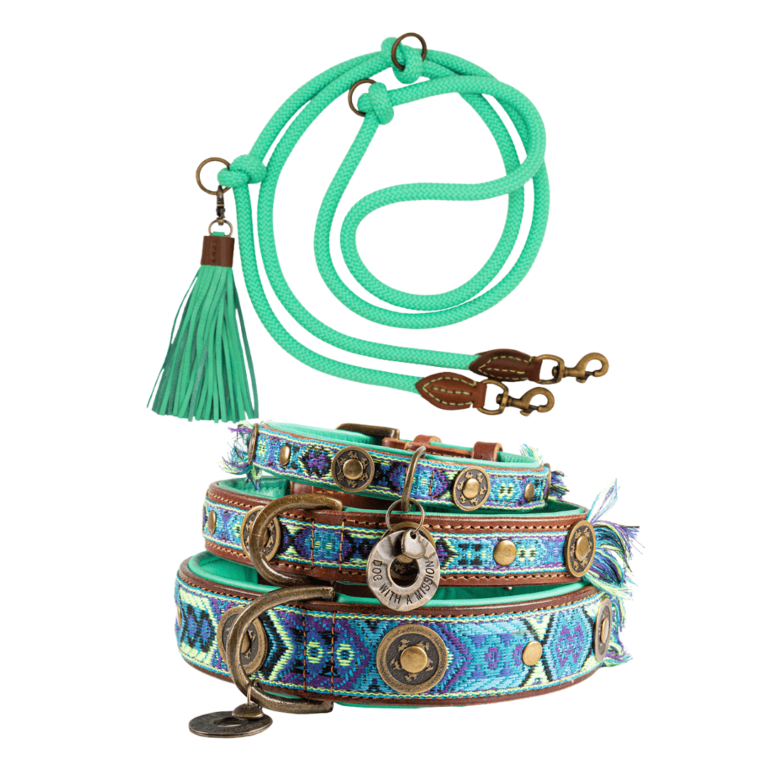 Exklusives Set: Boho Juan Halsband + Leine „Jade“ - Pfotenlieblinge
