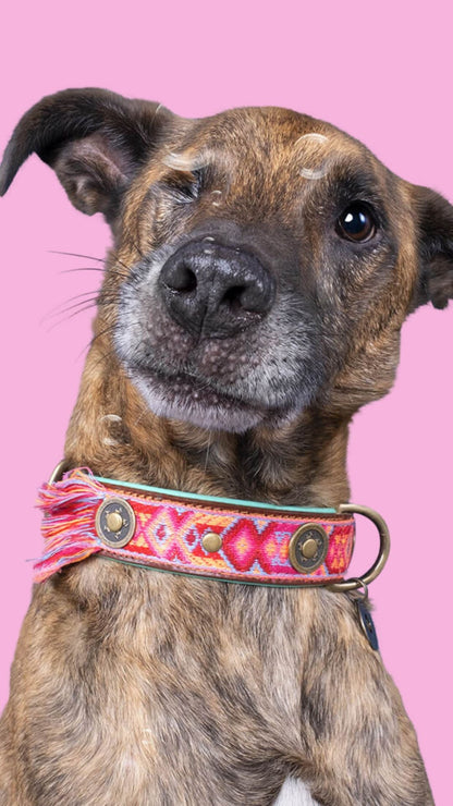 Exklusives Set: Boho rosa Halsband + Leine „Sugarbabe“ - Pfotenlieblinge