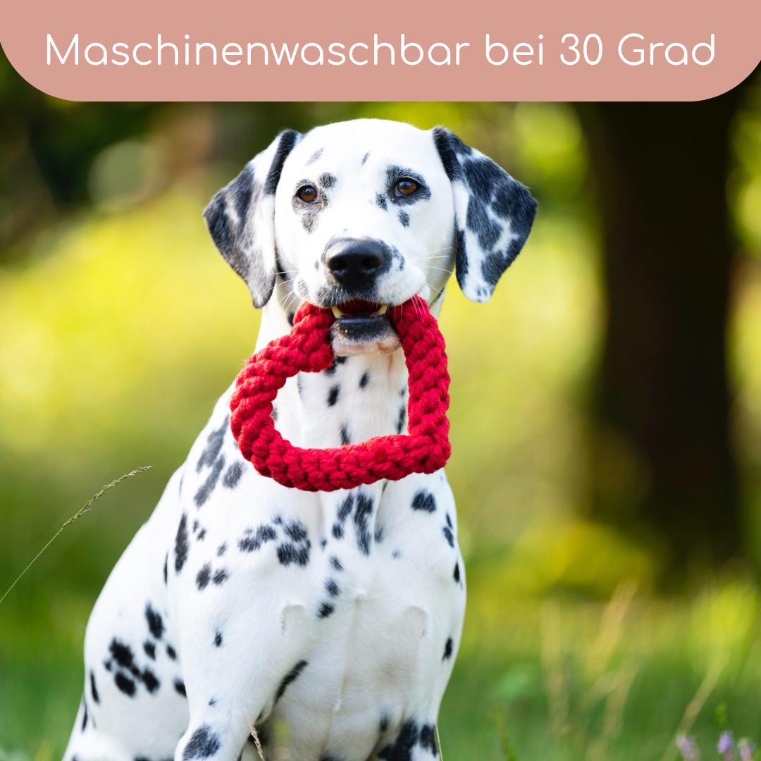 LABONI Heart ❤️ – Handgeknüpftes Hundespielzeug aus Baumwolle