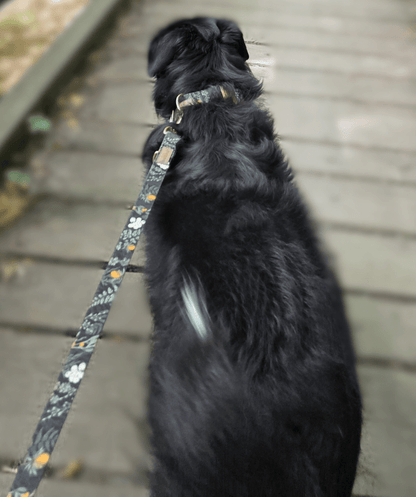 Forest Walkies Set – Nachhaltige Leine &amp; Halsband aus rPet &amp; Kaktusleder, handgemacht - Pfotenlieblinge