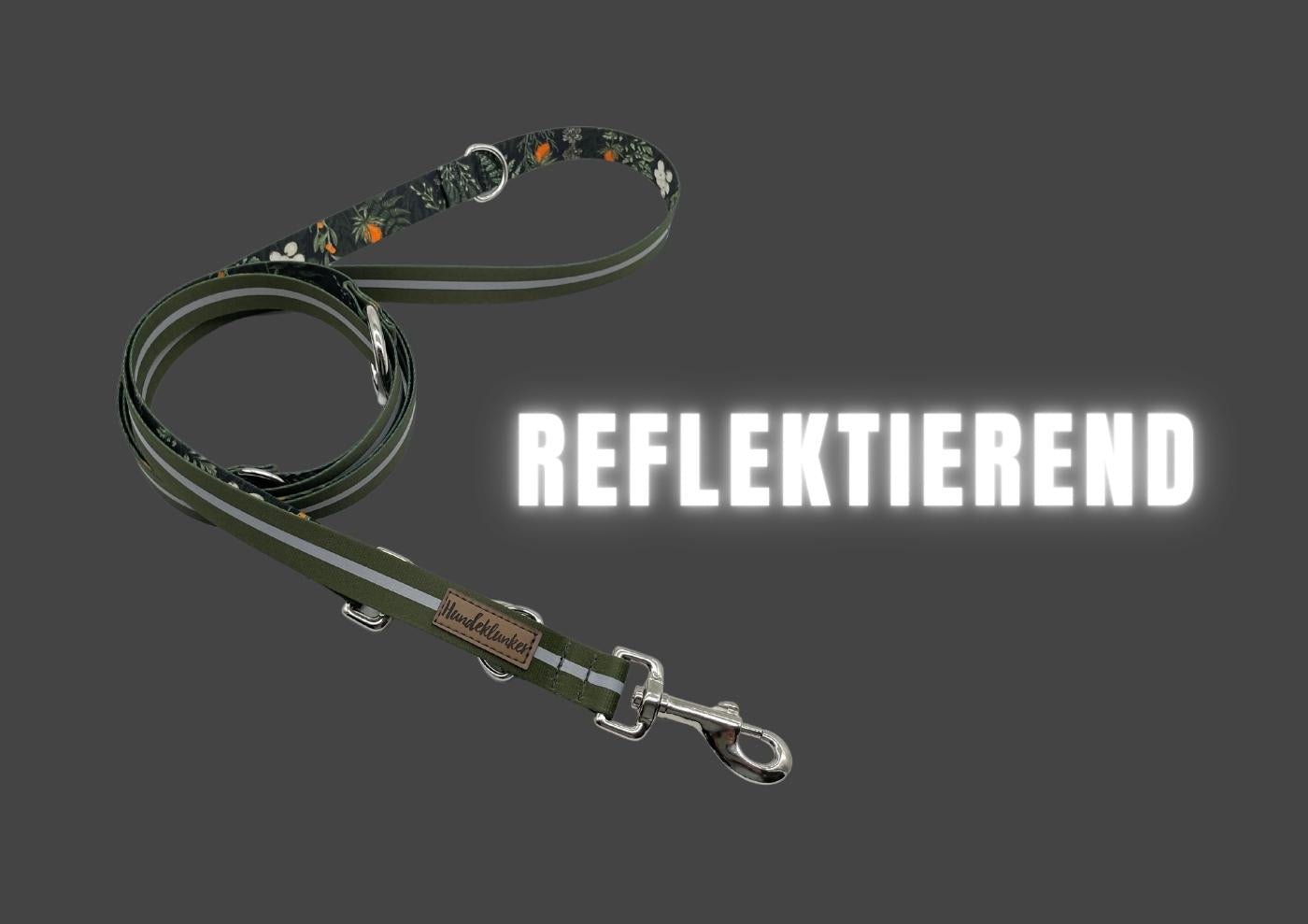 Forest Walkies Set – Nachhaltige Leine &amp; Halsband aus rPet &amp; Kaktusleder, handgemacht - Pfotenlieblinge
