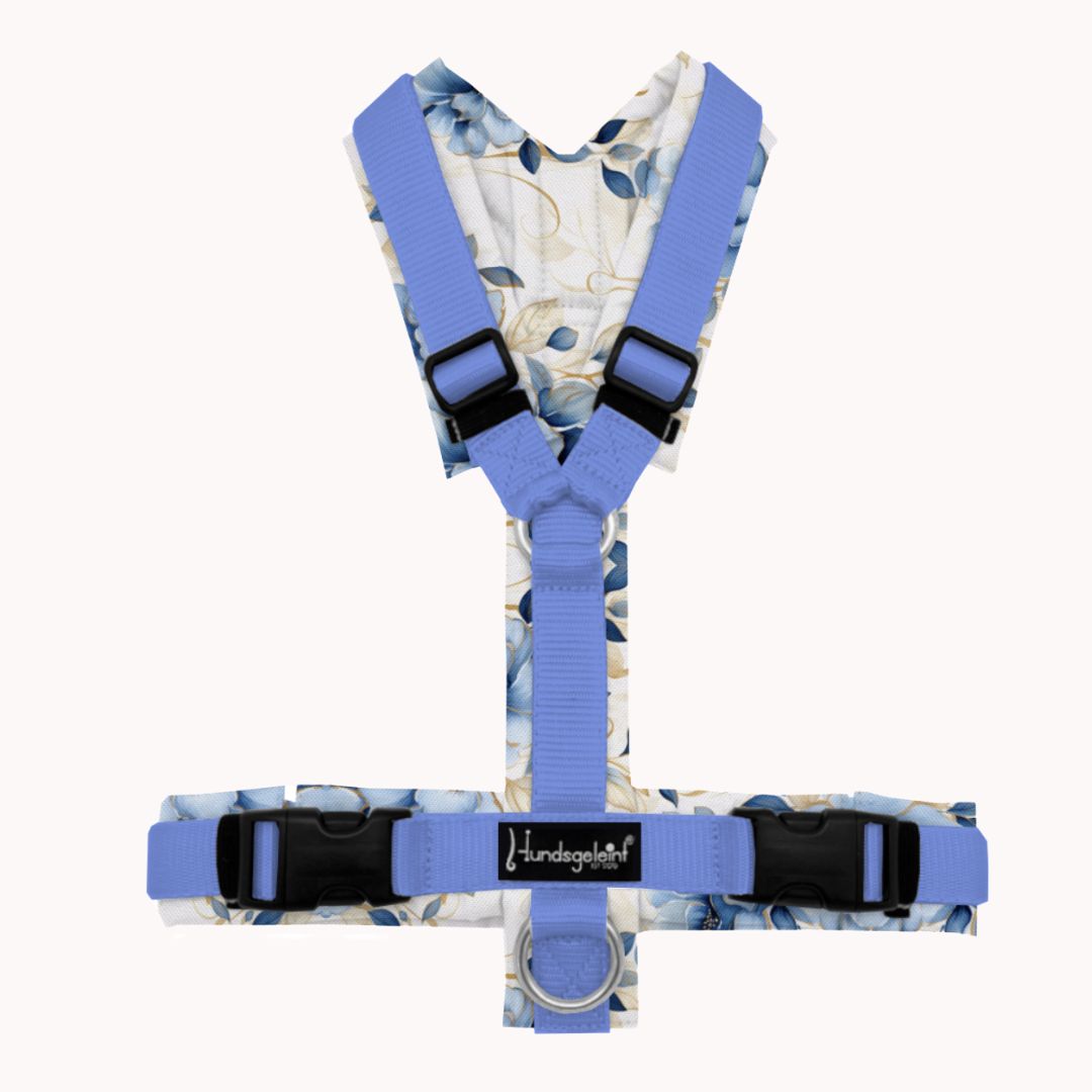 Hundegeschirr Ice-Bloom gepolstert und handgefertigt