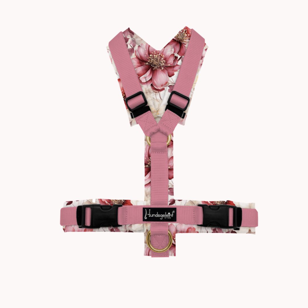 Hundegeschirr WildBloom gepolstert und handgefertigt