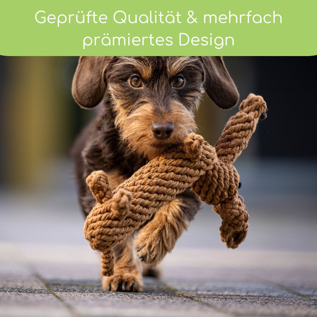 Diego Dackel – Handgefertigtes Kauspielzeug aus Baumwolle