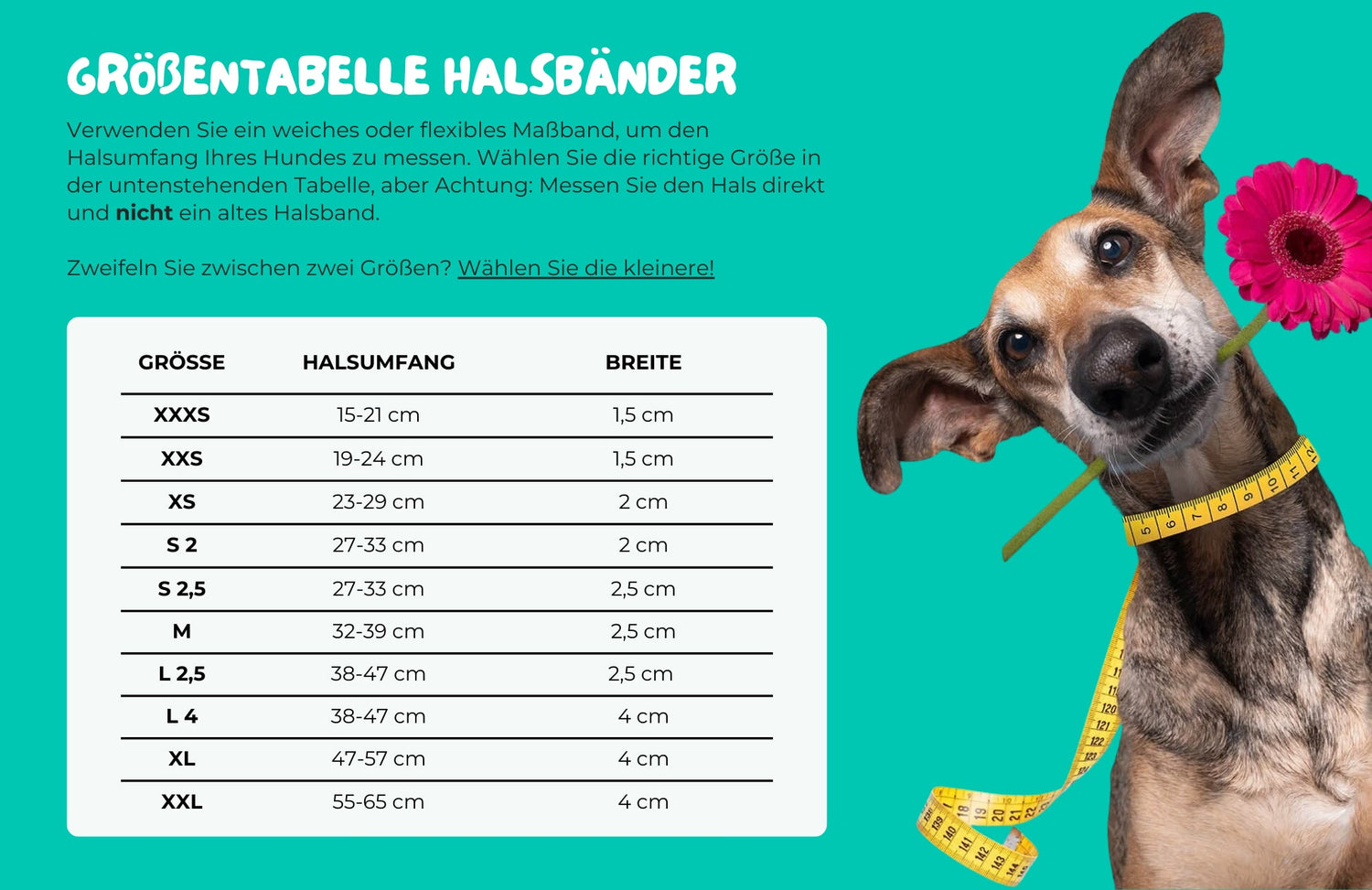 Halsband „Sweet Mae“ – handgefertigt aus Leder mit rosa Perlen - Pfotenlieblinge