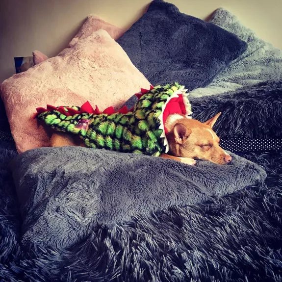 Handgefertigter Hunde - Dinosaurier - Flauschmantel - Pfotenlieblinge