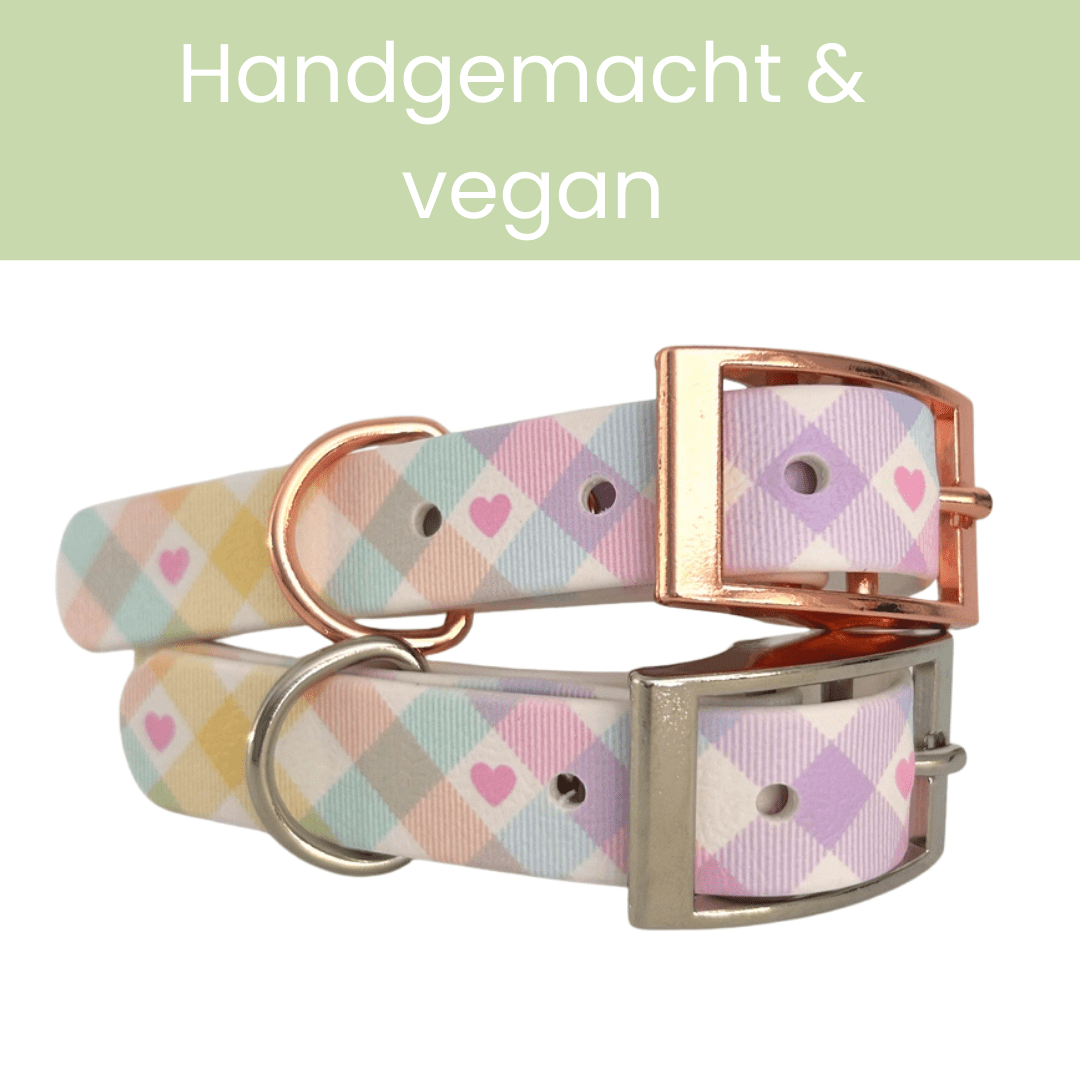 Handgemachtes Hundehalsband – Biothane &amp; exklusive Prints - Pfotenlieblinge