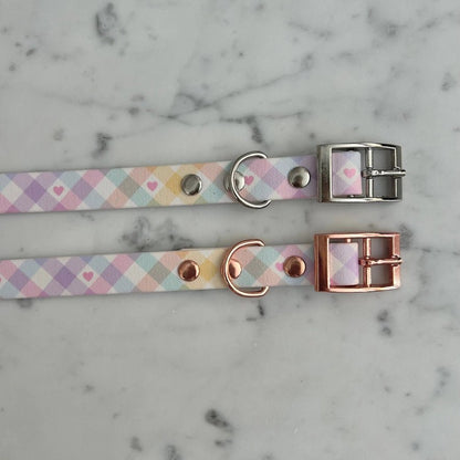 Handgemachtes Hundehalsband – Biothane &amp; exklusive Prints - Pfotenlieblinge