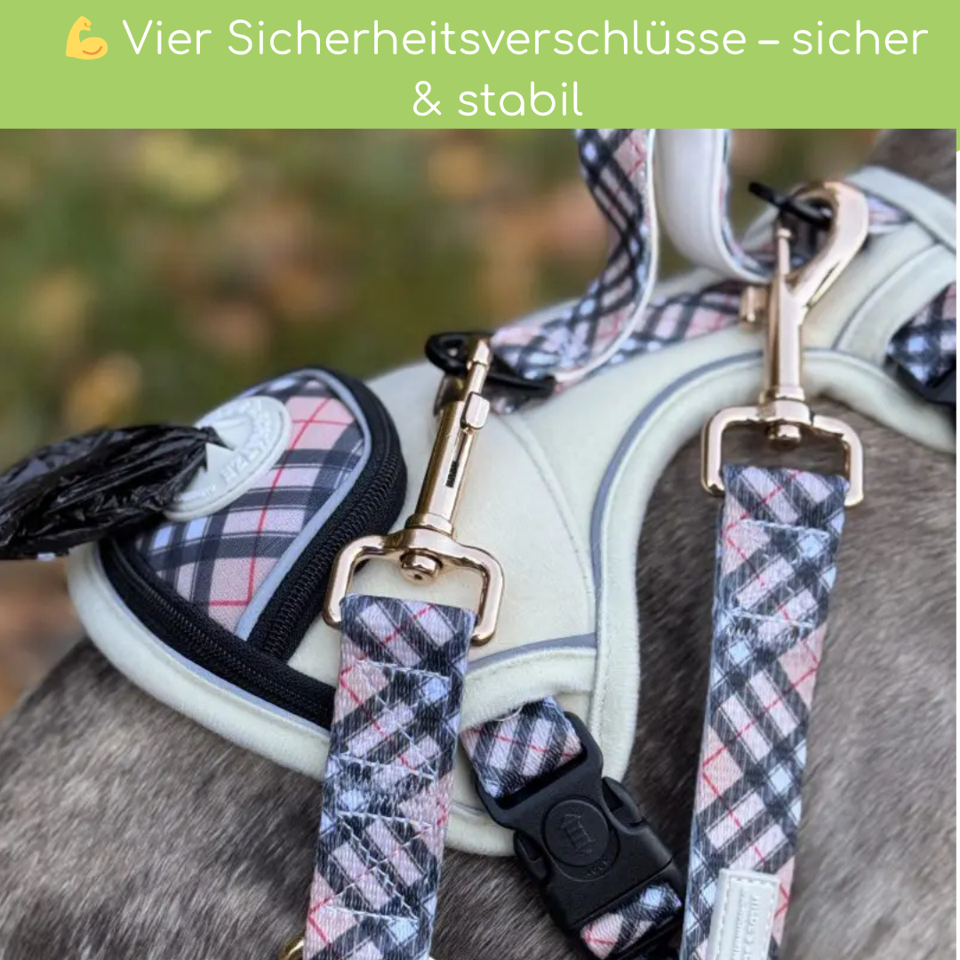 Leuchtendes Step-In Hundegeschirr