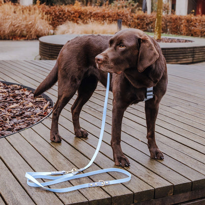 Outdoor FLEX Führleine – 3-fach verstellbar, 230 cm – Taupe/Blau