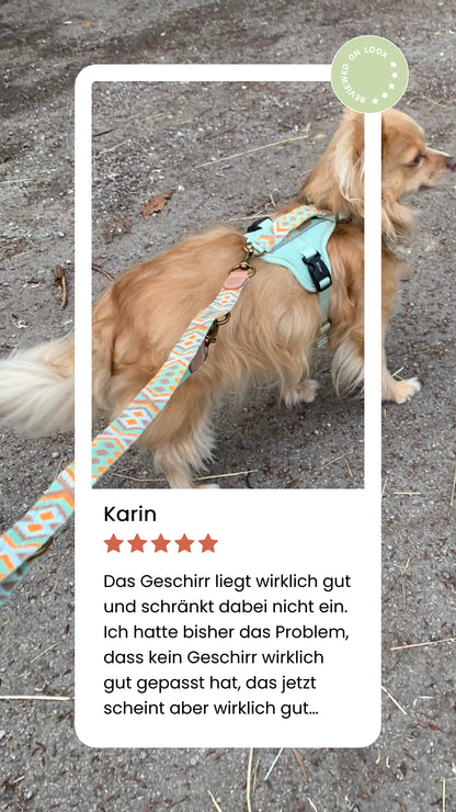 Très Chic Hundegeschirr – Komfort, Sicherheit &amp; Stil in Perfektion Mint/Orange