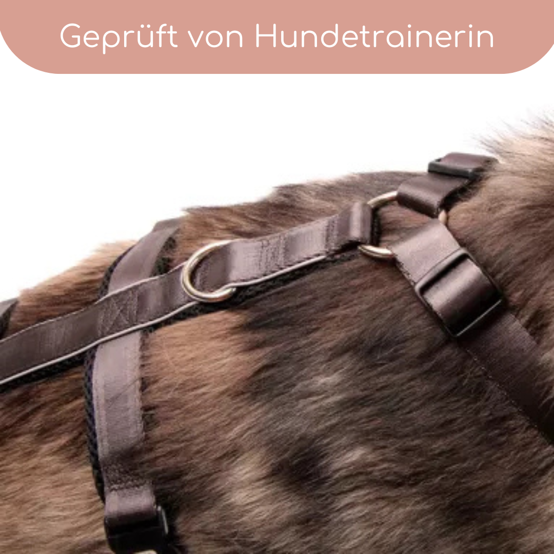 StyleSnout® Patch&amp;Safe Sicherheitsgeschirr – ausbruchsicher &amp; gepolstert