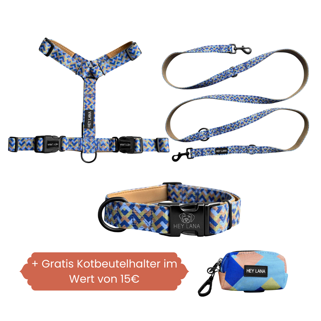 Set Hundehalsband, Leine und Geschirr - Mocca/Blau