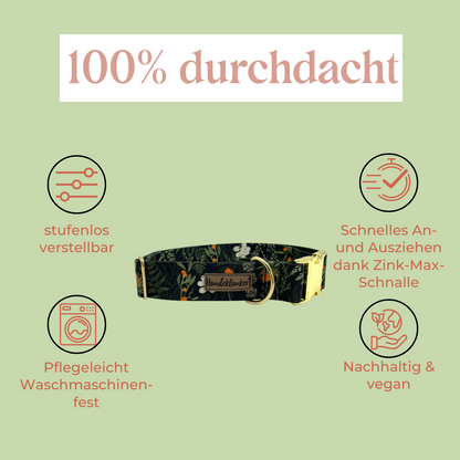 Forest Walkies Set – Nachhaltige Leine &amp; Halsband aus rPet &amp; Kaktusleder, handgemacht