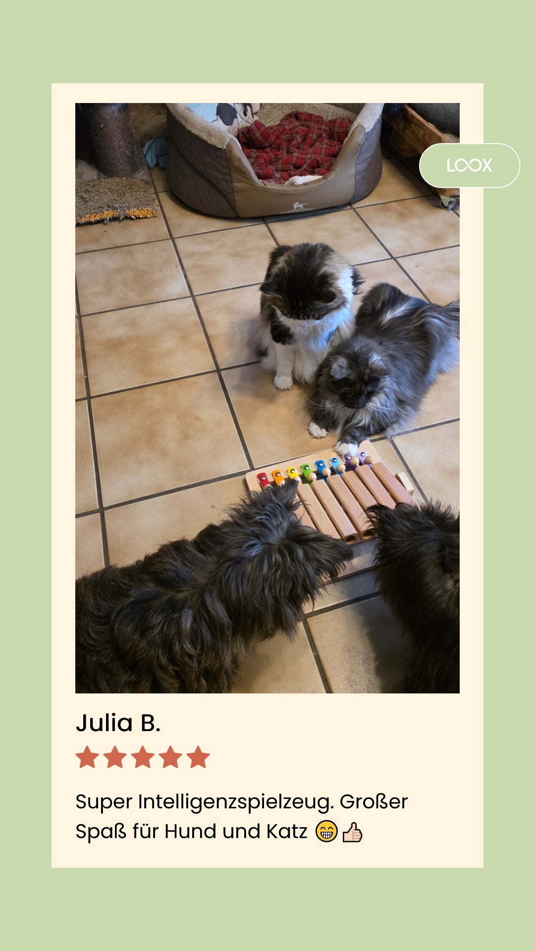 Piano – Interaktives Intelligenzspielzeug für Hunde – Spielzeug des Jahres