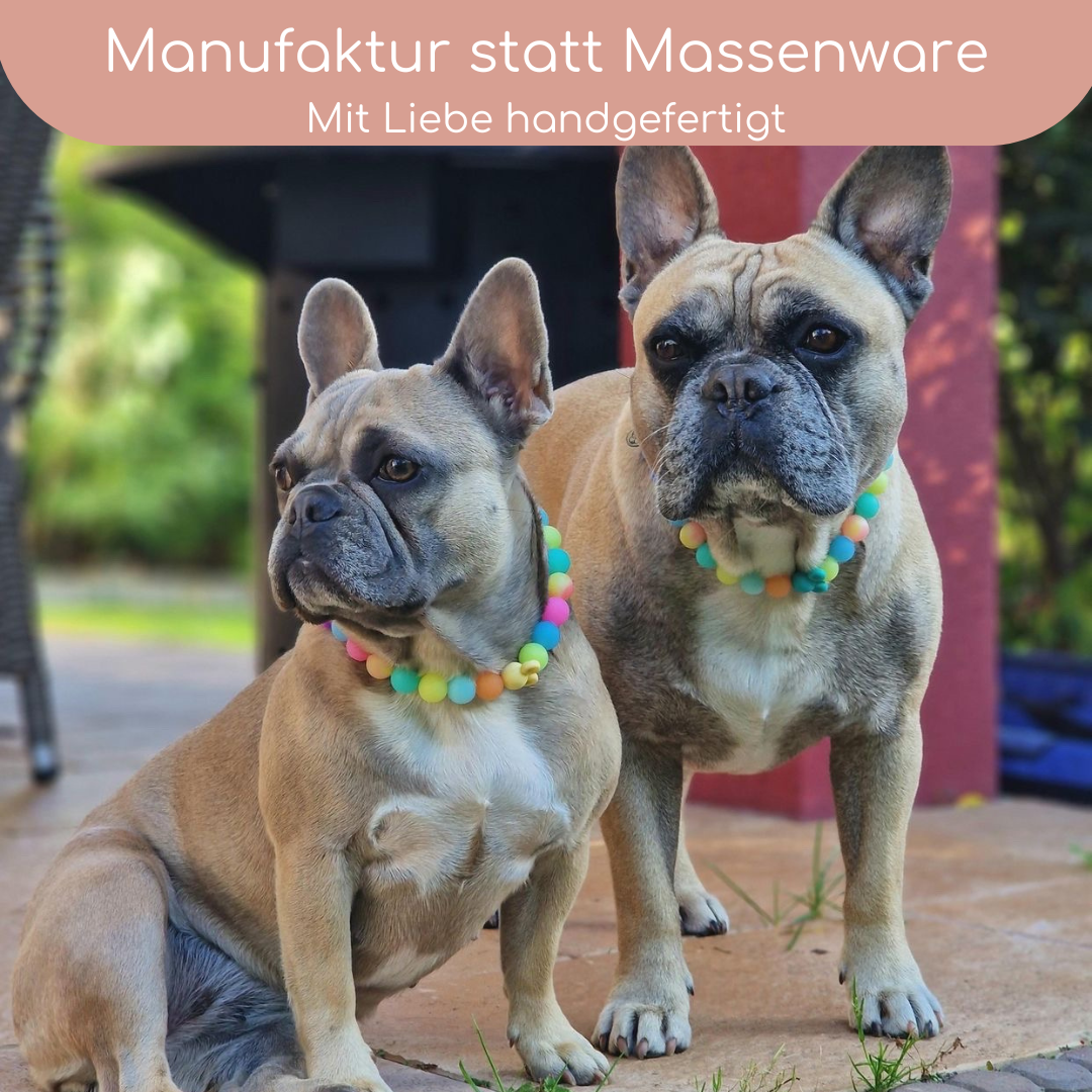 Leuchtkette „Prince“ für Hunde – handgefertigt &amp; ohne Strom