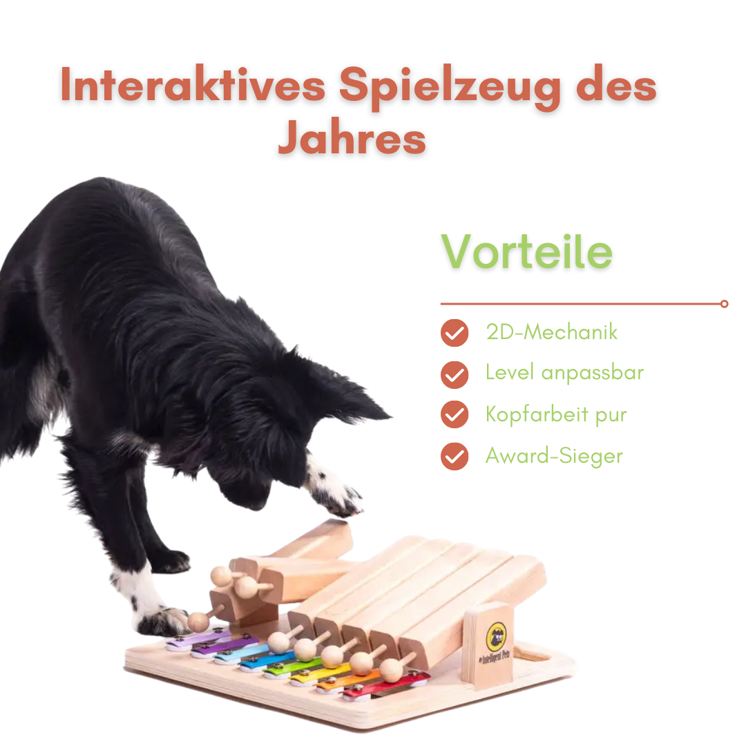 Piano - Interaktives Haustierspielzeug des Jahres Intelligenzspielzeug
