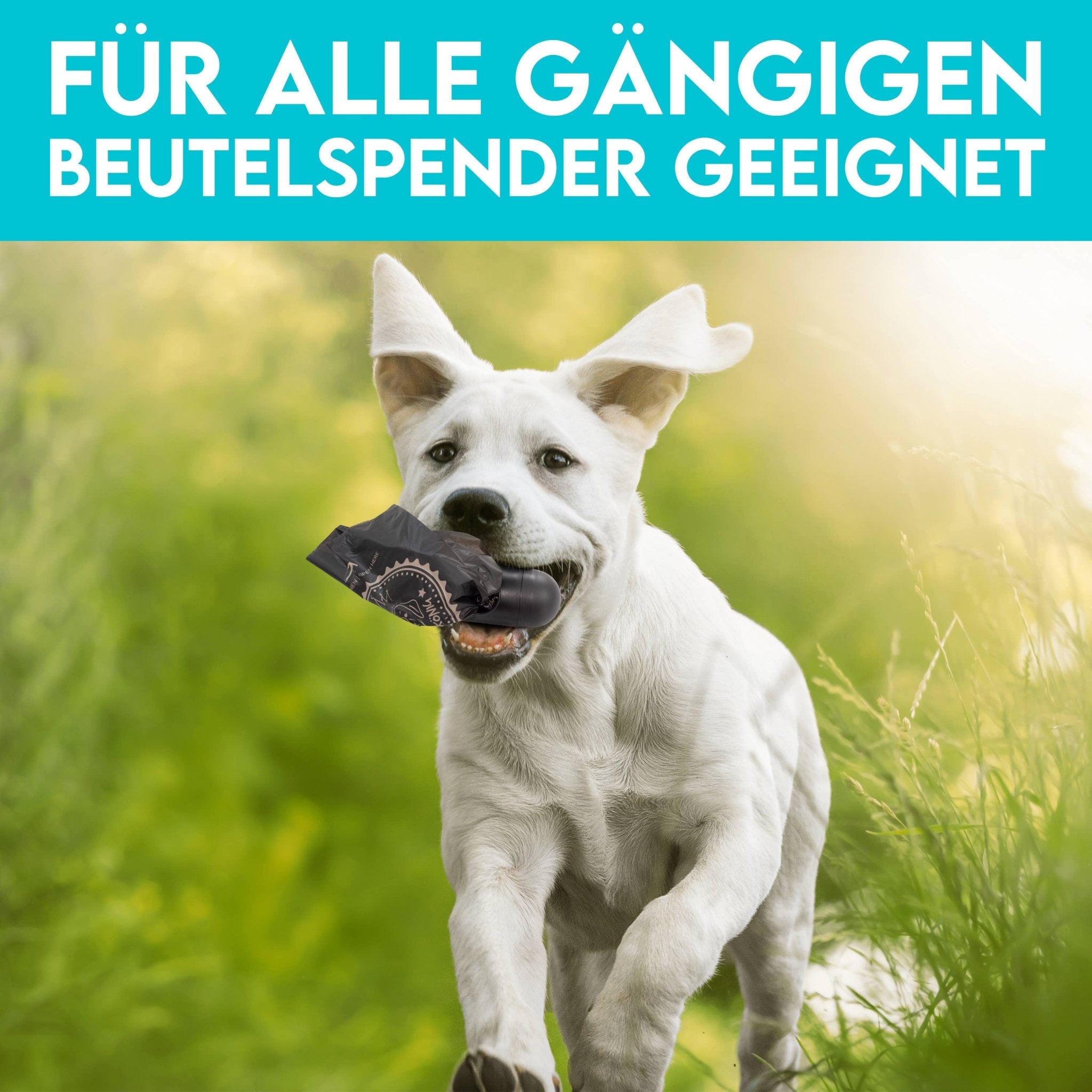 HUND IST KÖNIG® Hundekotbeutel 100% kompostierbar [270 Stk.} - Pfotenlieblinge