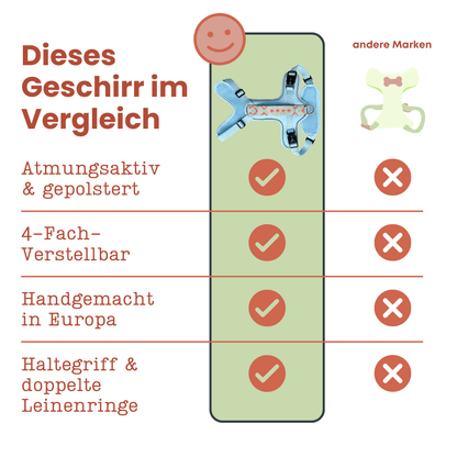 Hundegeschirr – Coral/Hellblau – Kollektion Très Chic von Hey Lana - Pfotenlieblinge